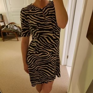 H&M Zebra Dress